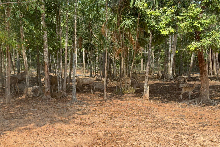 Parc à thème VinWonders et safari à Phu QuocVisite autonome : Vinwonder &amp; Safari Combo