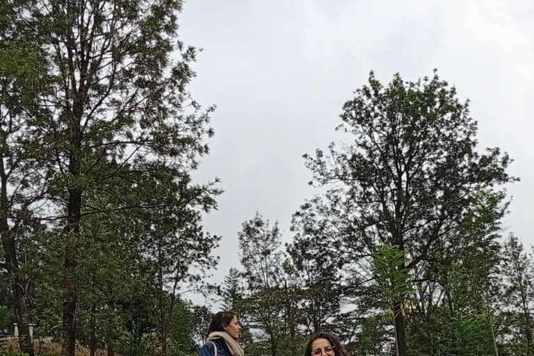 Kandy: Full-Day Tuk-Tuk Tour with Temples & Gardens by Local