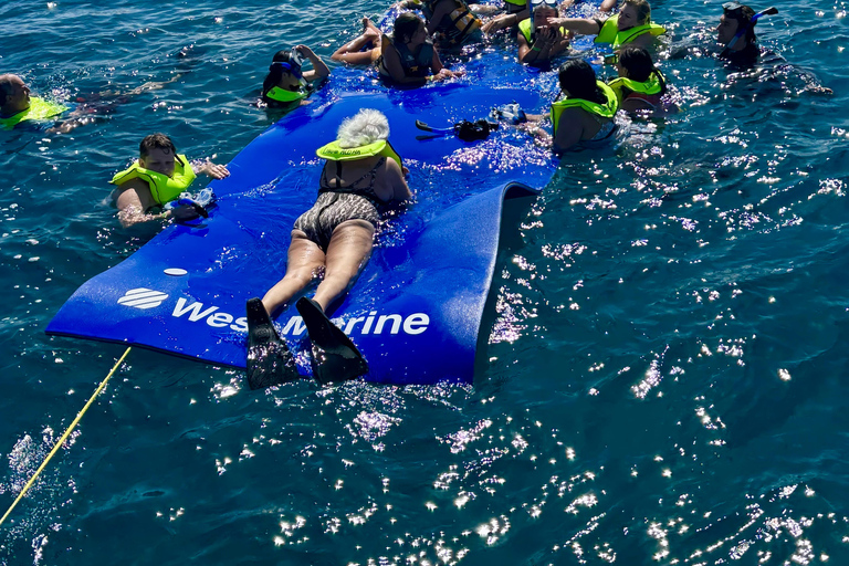 وايكيكي: تجربة الغوص مع السلاحف