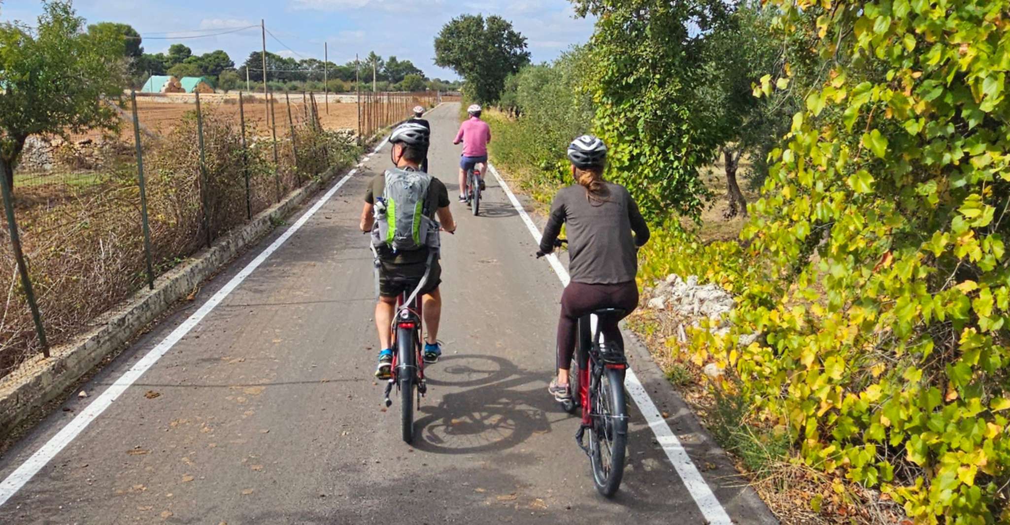 Gioia del Colle: Countryside Bike Ride & Mozzarella Tasting