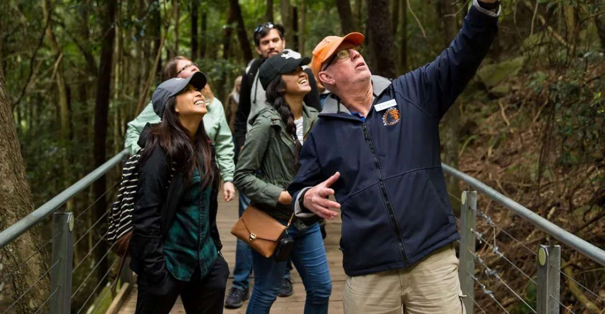 Blue Mountain Small Group Scenic World, Wildlife, Waterfall