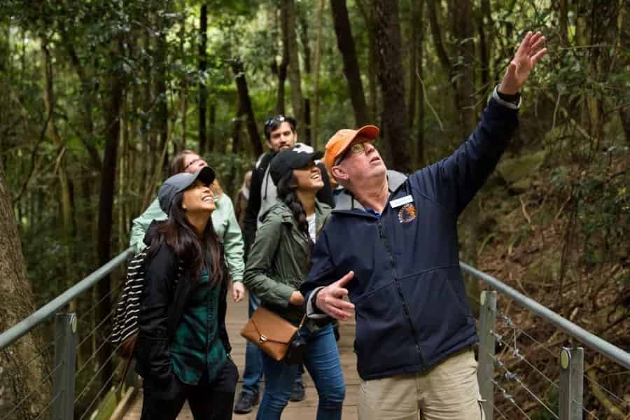 Blue Mountains: Scenic World, Wildtiere, Wasserfall. Foto: GetYourGuide Blue Mountains: Scenic World, Wildtiere, Wasserfall. Foto: GetYourGuide