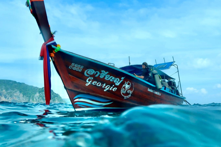 From Phi Phi: Beginner Scuba Diving Day Trip with 2 Dives Morning Scuba (2 Dives)