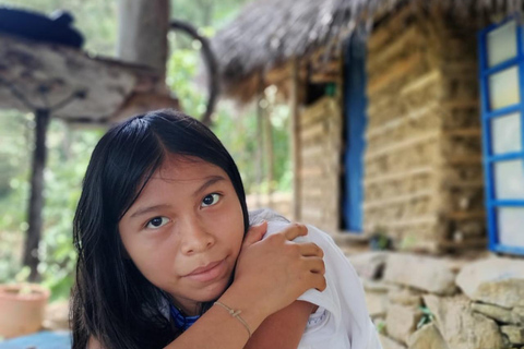 Minca : soirée autour d'un feu de camp, cérémonie du cacao indigène et musique Wiwa