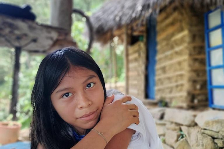 Minca : soirée autour d'un feu de camp, cérémonie du cacao indigène et musique Wiwa