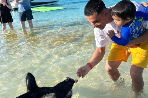 007-Mañana Todo Incluido Nadar con Cerdos en la Isla Rosa007 Todo Incluido-Nadar con cerdos en la Isla Rosa