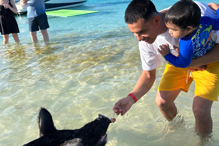 007-Mañana Todo Incluido Nadar con Cerdos en la Isla Rosa007 Todo Incluido-Nadar con cerdos en la Isla Rosa