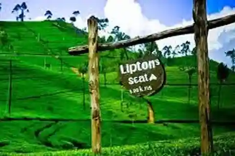 Ella: Lipton's Seat & Tea Factory & Tea Plantation Day Tour