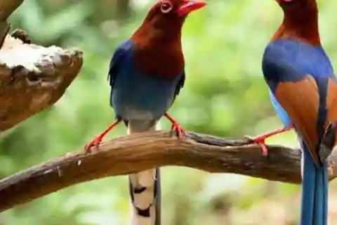 Three-Day Kitulgala Adventure Excursion