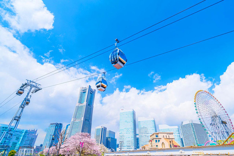 Tokyo Yokohama Night View Tour With Kamakura And Enoshima