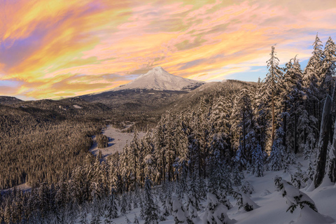 Portland: Mt. Hood Snowshoe Adventure with Lunch