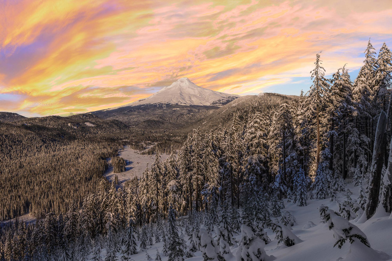 Portland: Mt. Hood Snowshoe Adventure with Lunch