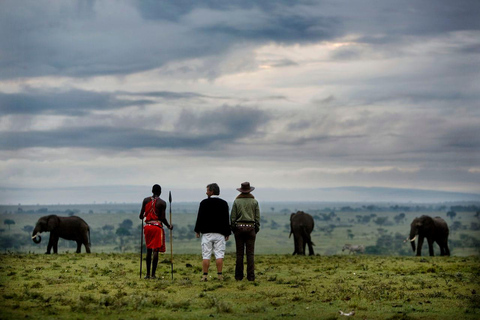 Tsavo Amboseli & Tsavo Expedition Safari Tour