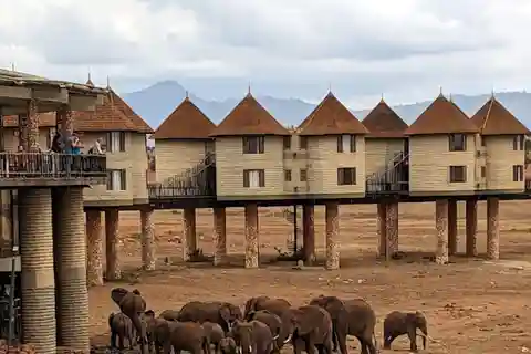 Desde Nairobi: 3 días y 2 noches en Sarova Saltlick y Taita Hills