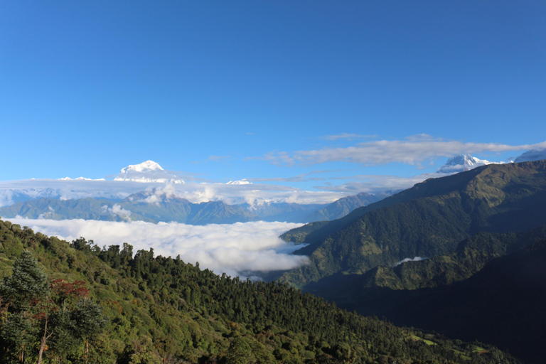 Annapurna Base Camp (ABC) Trekking Adventure