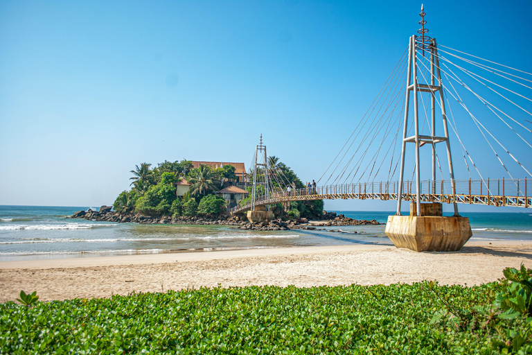 Colombo: Mirissa Day Trip with Scenic Coastal Train Ride Colombo: Mirissa Day Trip with Scenic Coastal Train Ride