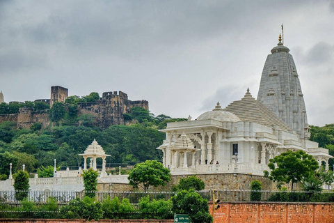 Excursión Safari Nocturno: Explora Jaipur en un Jeep Abierto