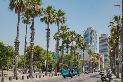 Barcelona: 2h Premium Private Tuk-Tuk Tour