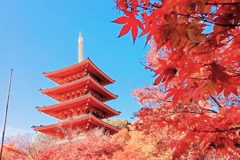 Osaka/Kyoto: Amanohashidate, Ine Bay & Nariaiji Temple Tour From Osaka Meeting Point