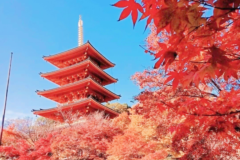 Osaka/Kyoto: Amanohashidate, Ine Bay & Nariaiji Temple Tour From Osaka Meeting Point