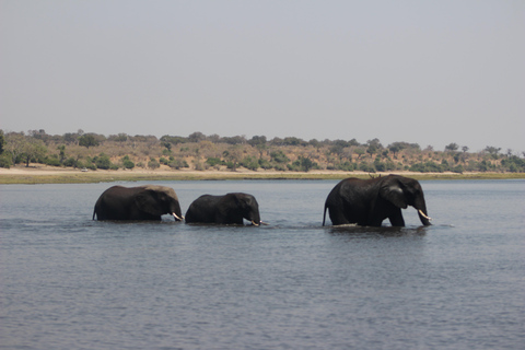 Erweiterte Tagestour zum Chobe