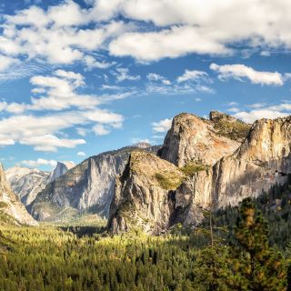 From San Francisco: Yosemite Private Full-Day Trip