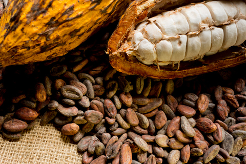 Cusco Coffee Tour: 1 Day Cloud Forest Experience Cusco Coffee Tour: 1-Day Cloud Forest Experience