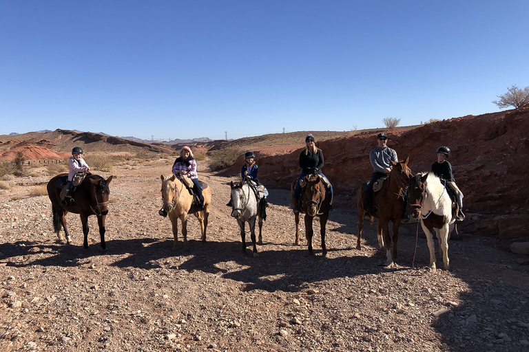 Henderson: excursion à cheval dans le désert avec petit-déjeunerLas Vegas : balade à cheval avec petit-déjeuner