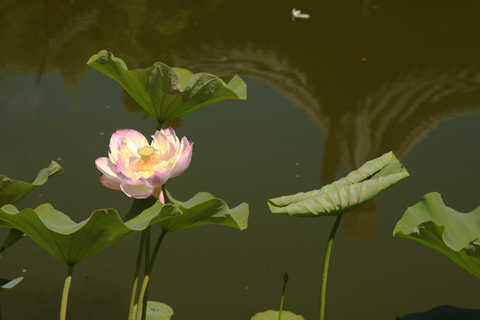 Portland: Lan Su Chinese Garden General Admission Ticket