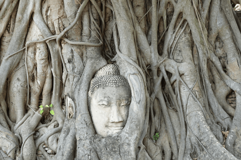 Von Bangkok aus: Ganztagestour durch die antike Stadt Ayutthaya mit Führung