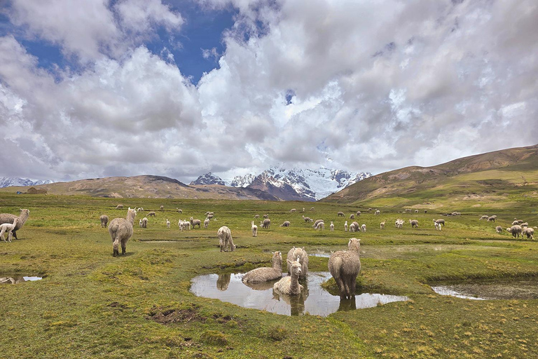 Ausangate Trek To Rainbow Mountain And Red Valley 5 Days