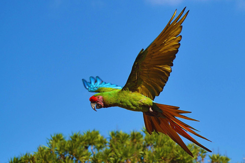 Private Kayaking Adventure: a 2-hour Wildlife Escape Self-Guided Kayaking Adventure: a 2-hour Wildlife Escape