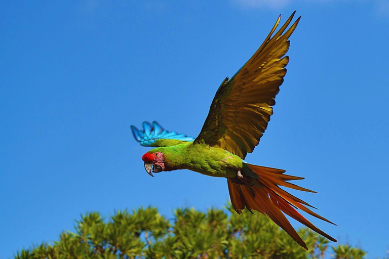 Private Kayaking Adventure: a 2-hour Wildlife Escape Self-Guided Kayaking Adventure: a 2-hour Wildlife Escape