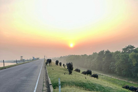 Coast to Ella: Private Safari & Scenic Transfer