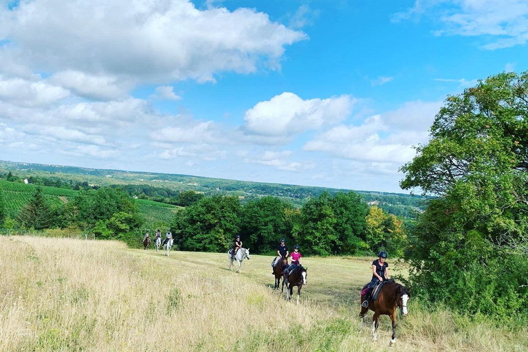 Tour della Valle della Loira: una galoppata reale attraverso il tempoTour di un giorno in sella a cavallo alla scoperta dei castelli della Valle della Loira
