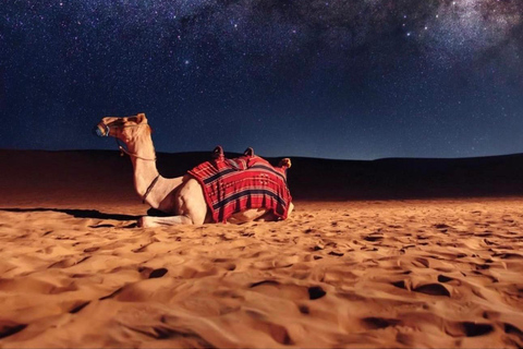 Doha: Night Desert Safari Stargazing & Camel Ride Shared Tour Pick-up From Meeting Point Without Camel ride