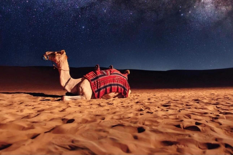 Doha: Night Desert Safari Stargazing & Camel Ride Shared Tour Pick-up From Meeting Point Without Camel ride