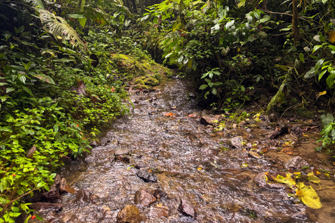 Quito: 2-Day Cloud Forest Experience