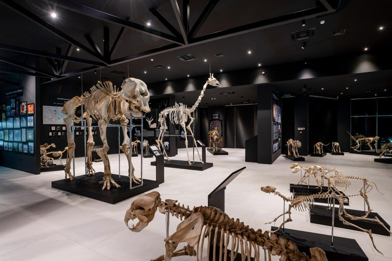 Baku: Gobustan, Mud Volcanoes, and Fire Temple Tour