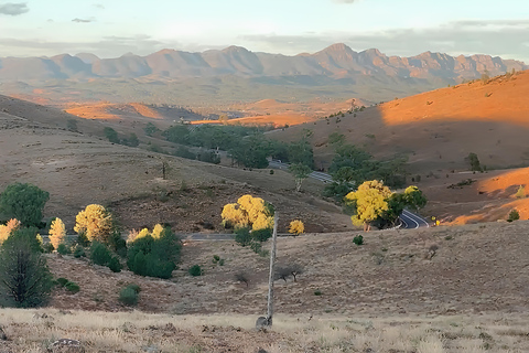 Flinders Ranges - Private All-Inclusive Expedition PRIVATE TOUR