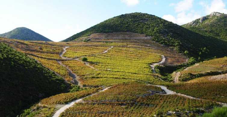Ston oesters en wijnproeverij tour vanuit Dubrovnik