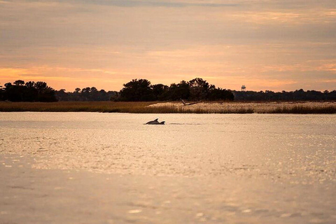 Charleston: Dolphin Discovery Sunset Cruise