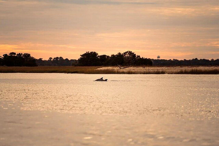 Charleston: Dolphin Discovery Sunset Cruise