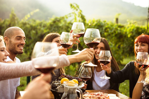 Vallée d&#039;Itria : Visite et dégustation de vin et d&#039;huile d&#039;olive