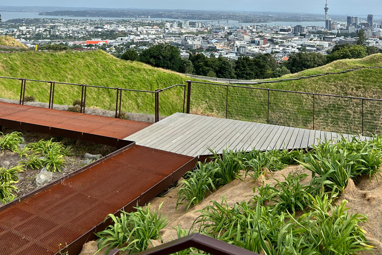 Heart of Auckland: Private Half-Day City Tour