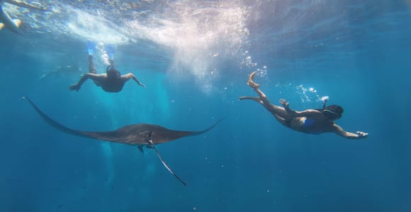 Nusa Penida: Snorkeling with Manta Rays , Coral & Turtle