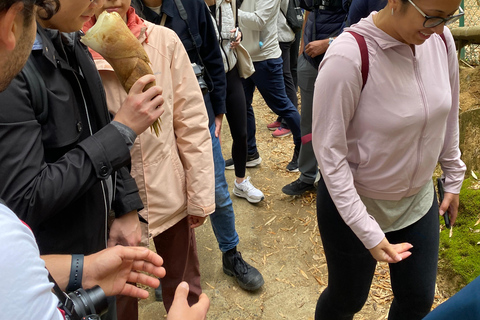 Insidan av Fushimi Inari - utforskning och lunch med lokalbefolkningen