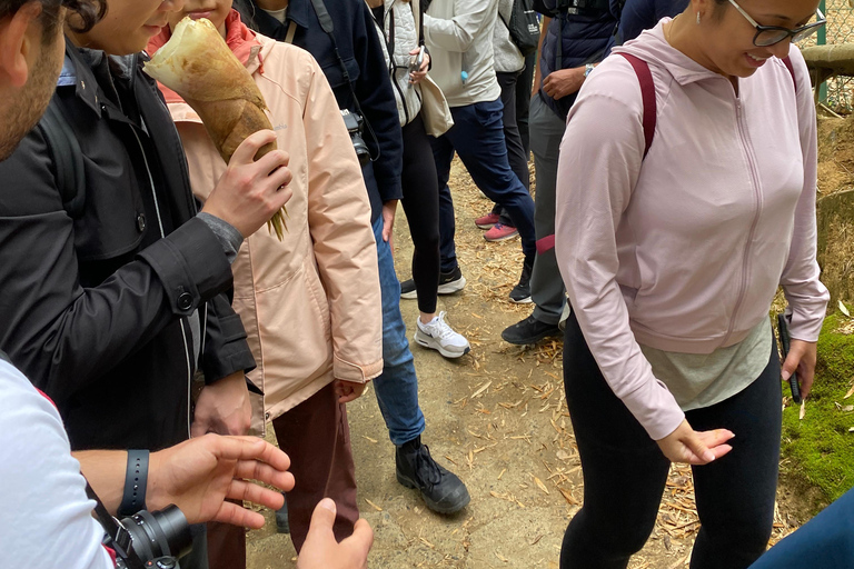 L&#039;interno di Fushimi Inari - esplorazione e pranzo con la gente del posto