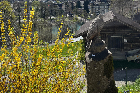 Interlaken: Guided Hike to Harder Kulm with Swiss Triathlete