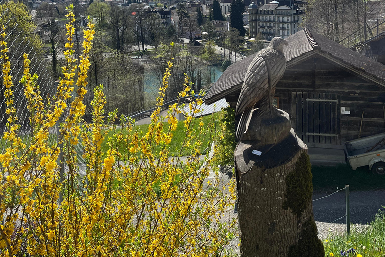 Interlaken: Guided Hike to Harder Kulm with Swiss Triathlete